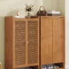Dust-proof Space Saving Shoe Cabinets Indoor Shoe Storage Organizer Entrance Multi-Layer Shoes Shelves for Living Room Furniture